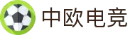 中欧电竞 - 在这里,看懂世界电竞版图